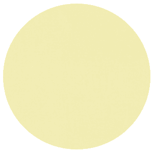 Lens - Yellow Tint - CHEETERZ CLUB