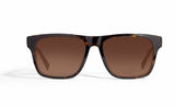 Image of Cheeterz Club eyewear. Photo of square sunglasses with brown tinted lenses. The frames are wide width with espresso and golden brown color. Suitable for round, oval, and square face shapes. 