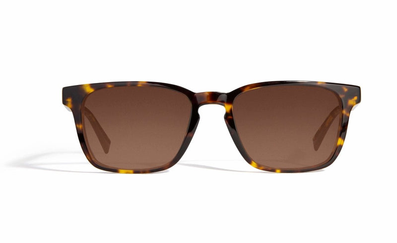 Image of Cheeterz Club eyewear. Photo of retro rectangle eyeglasses with brown tinted lenses. The frames are wide width with mahogany and golden brown color.  Suitable for round, oval, and square face shapes